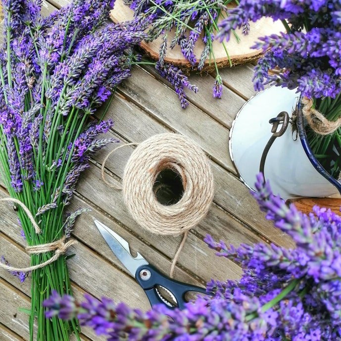 Free Range Kitchen Events